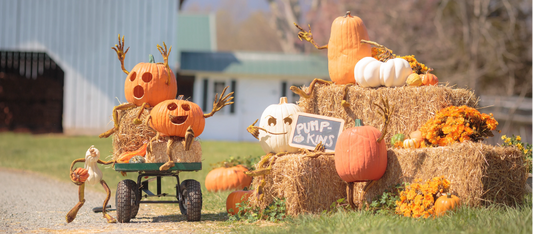 Fun pumpkins on a hay bale and wagon for Halloween.