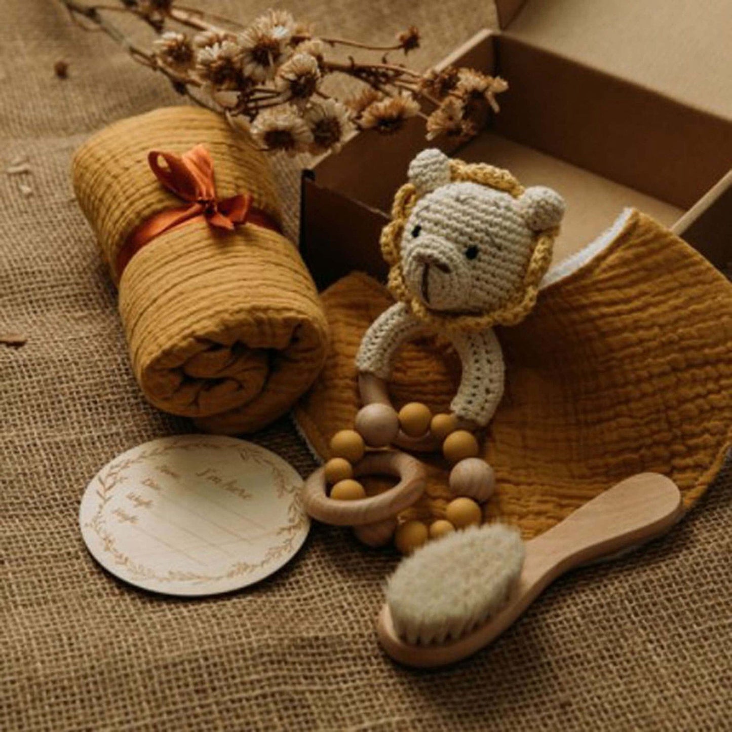 Lion Newborn Gift Box