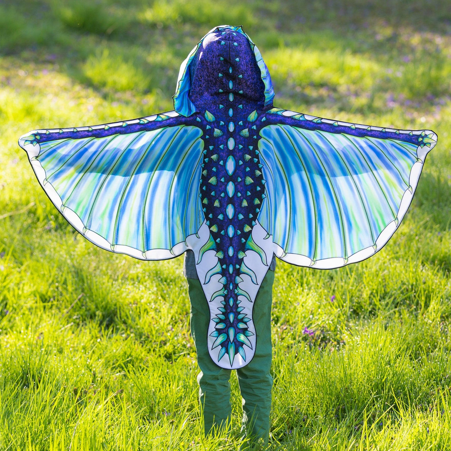 Fabric Dragon Wings Costume