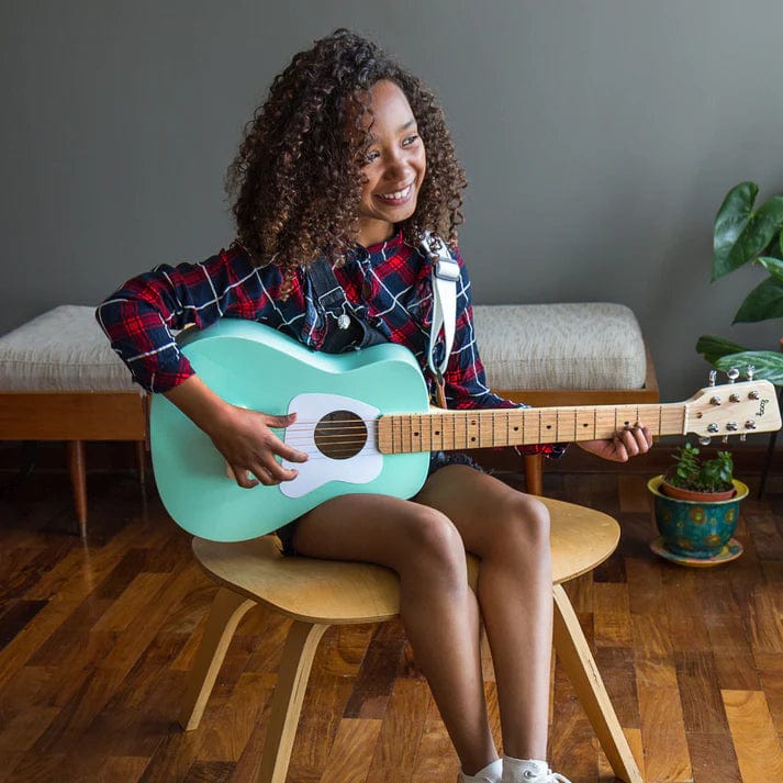 Pro Vi Acoustic Guitar