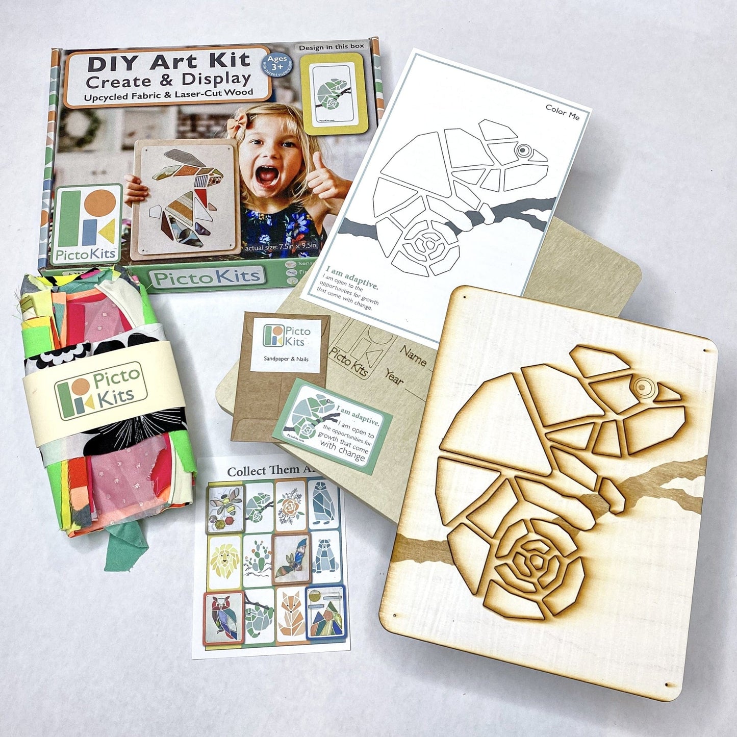 Chameleon Fabric Art Kit