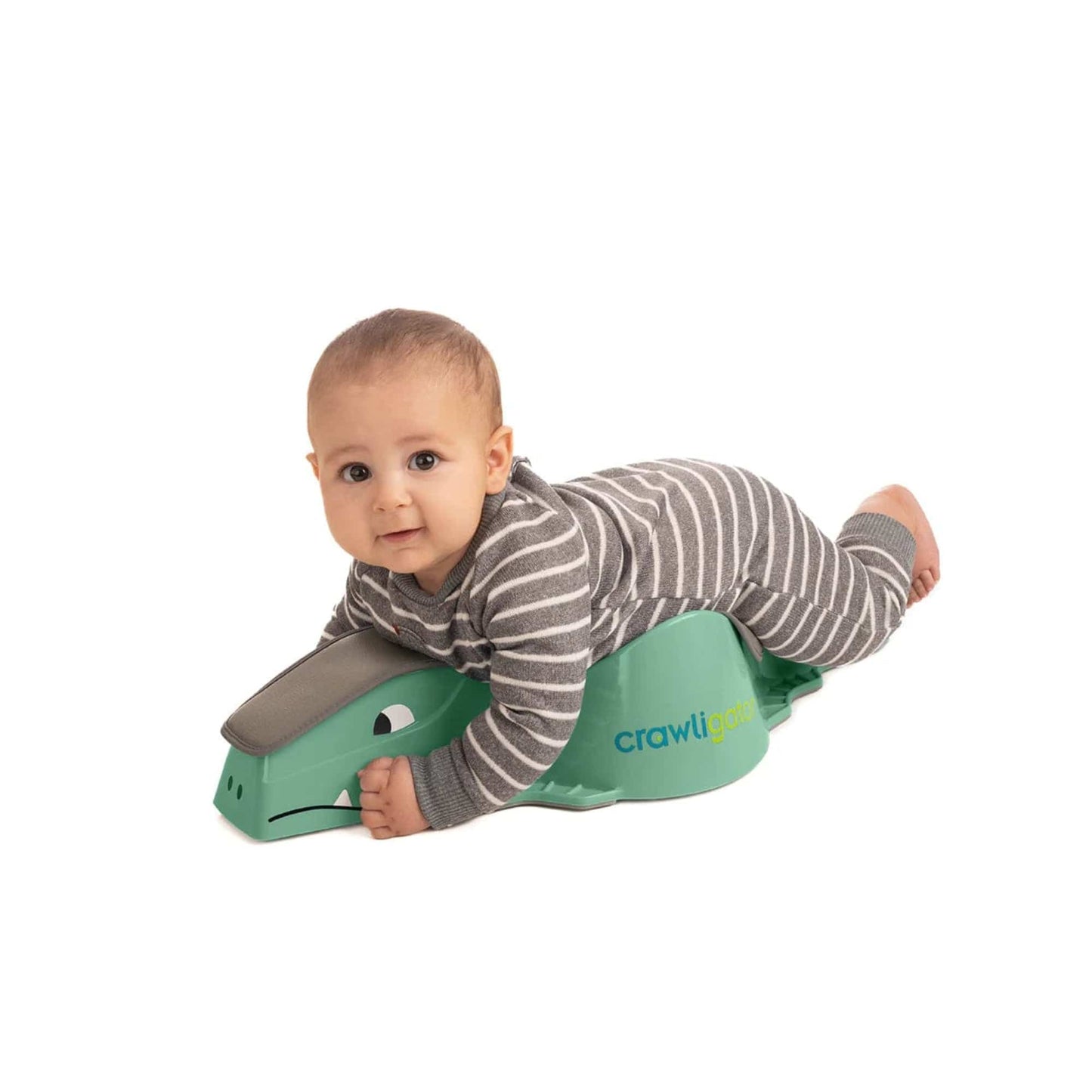 Crawligator, sage