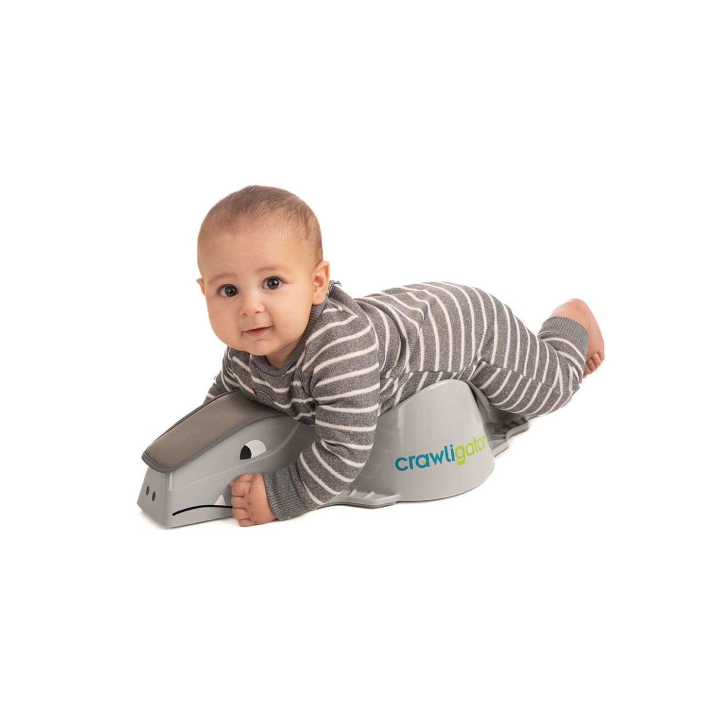 Crawligator, slate
