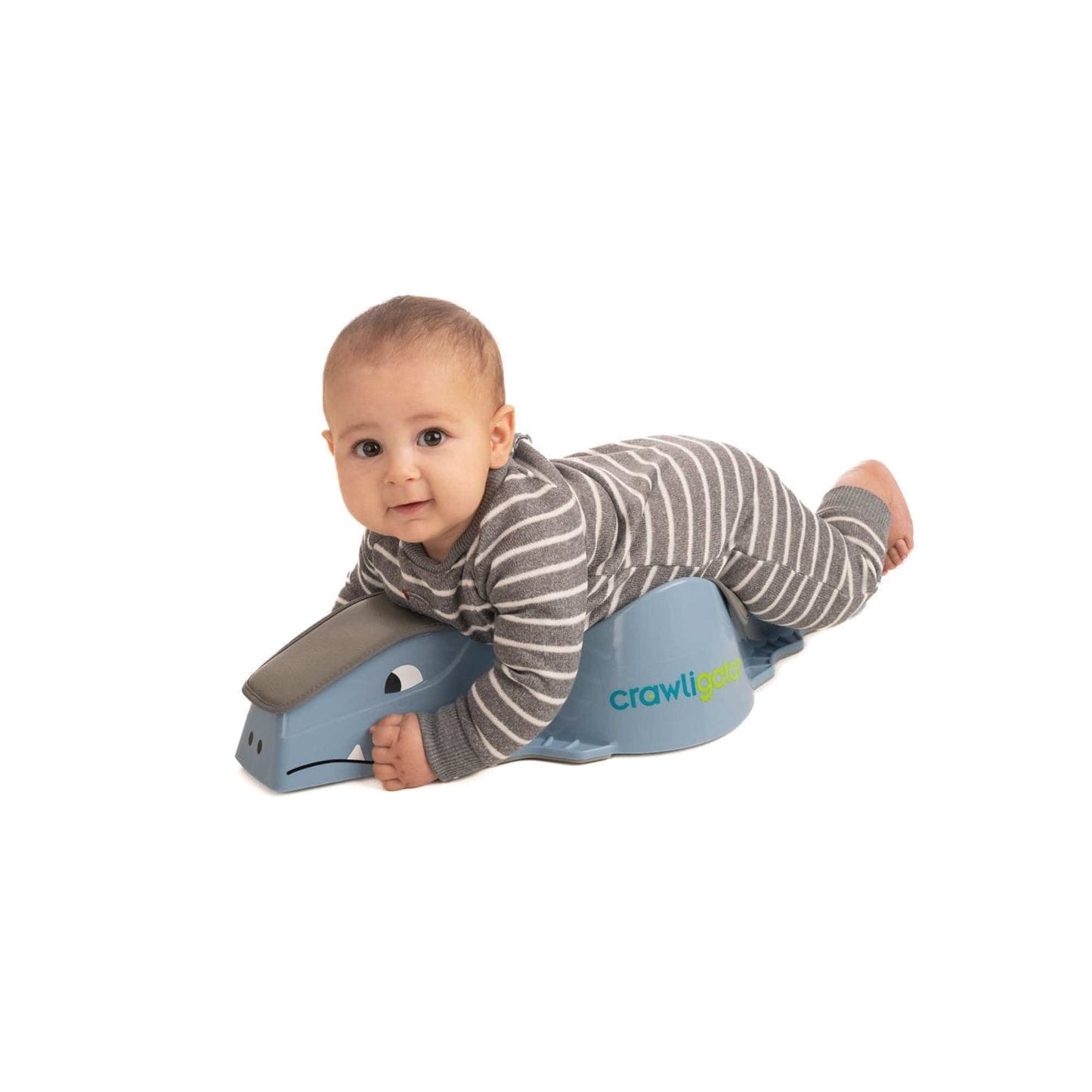 Crawligator, bluegray