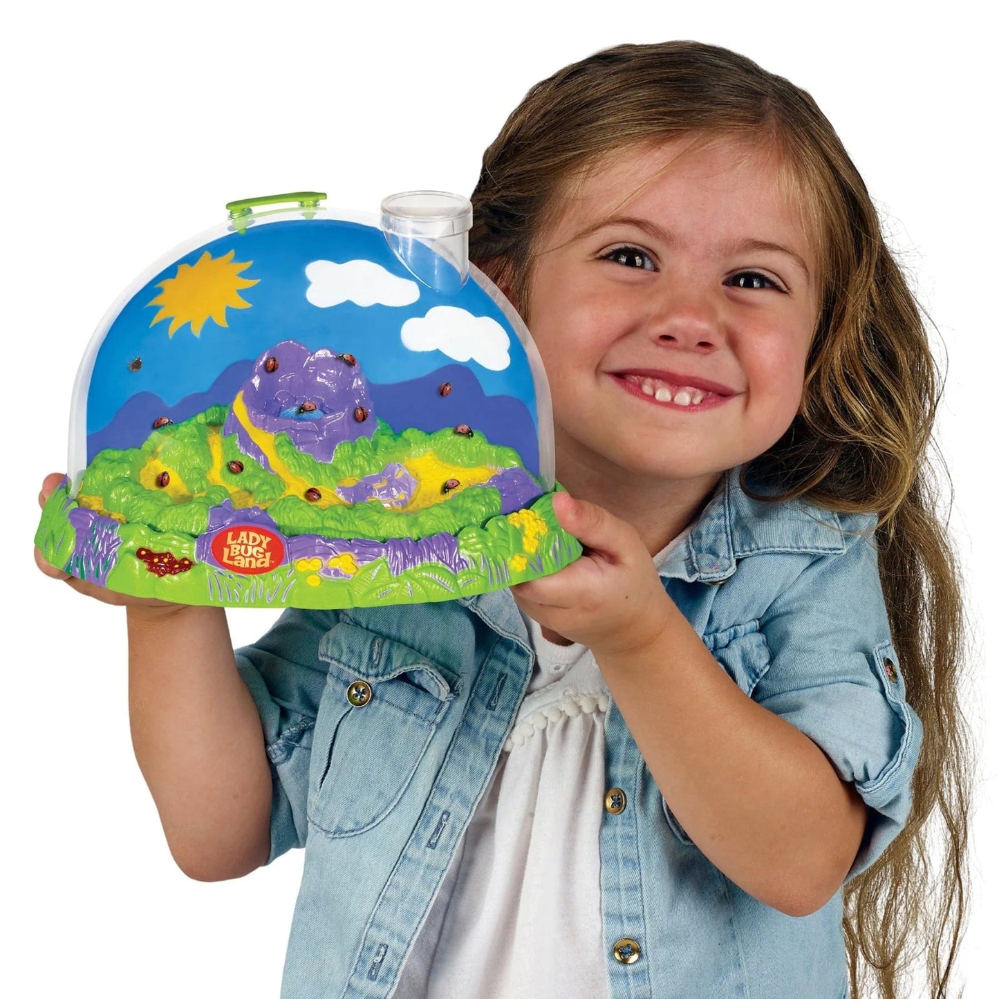 Ladybug Land with Voucher