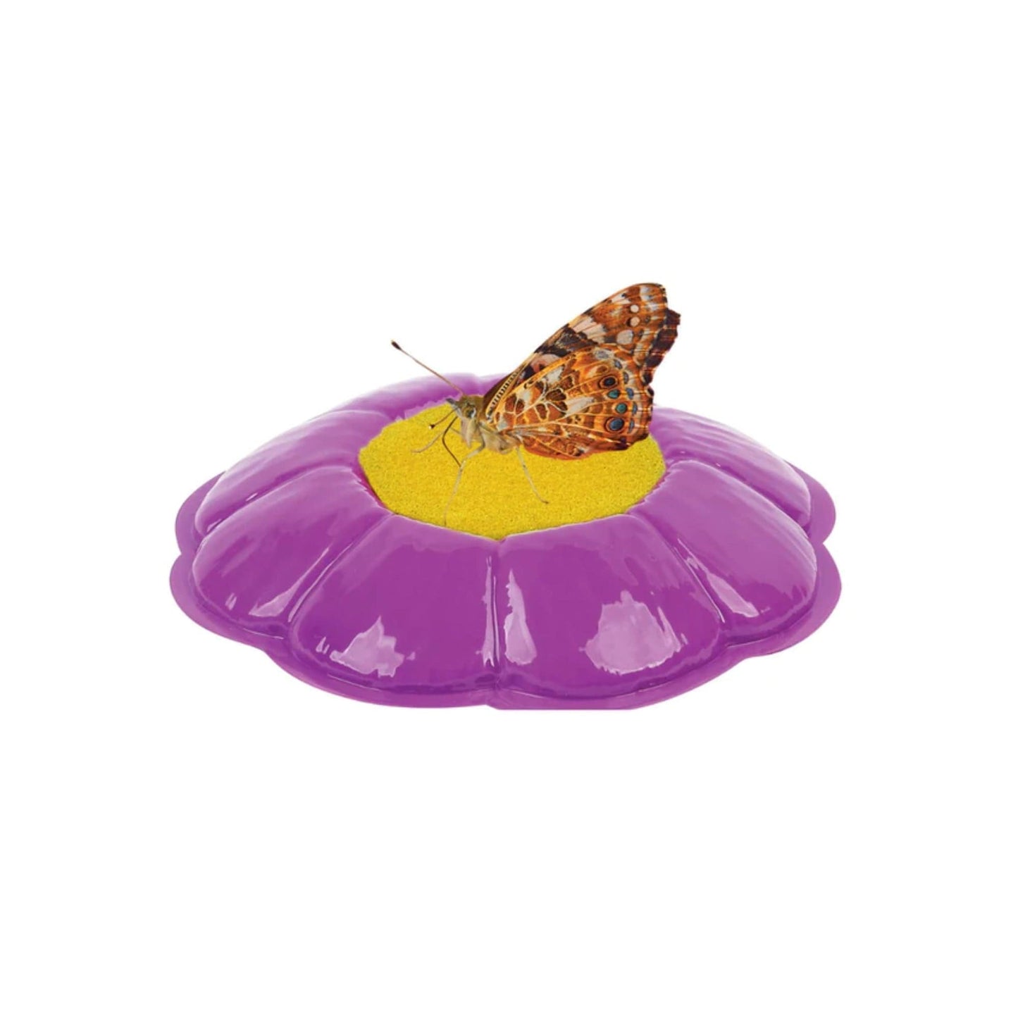 Butterfly Garden with Voucher