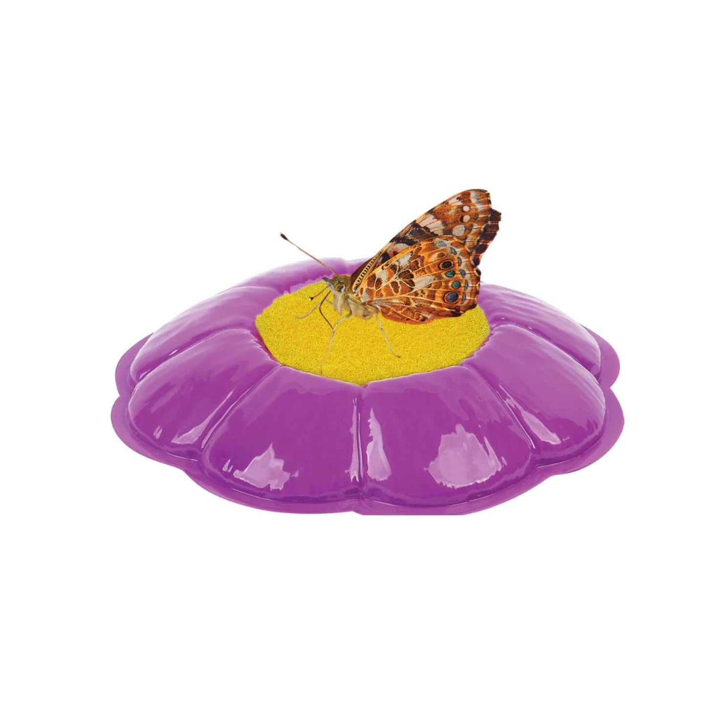 Butterfly Garden® Home School Edition with Prepaid Voucher
