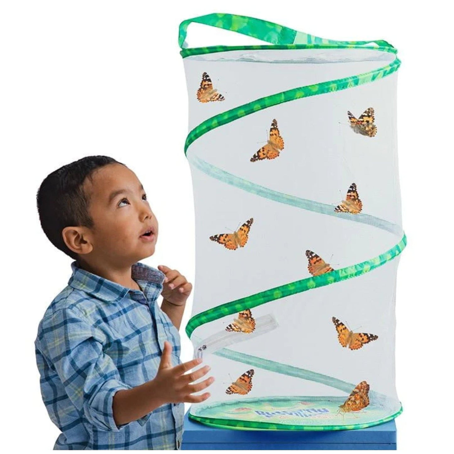 Butterfly Pavilion with Voucher