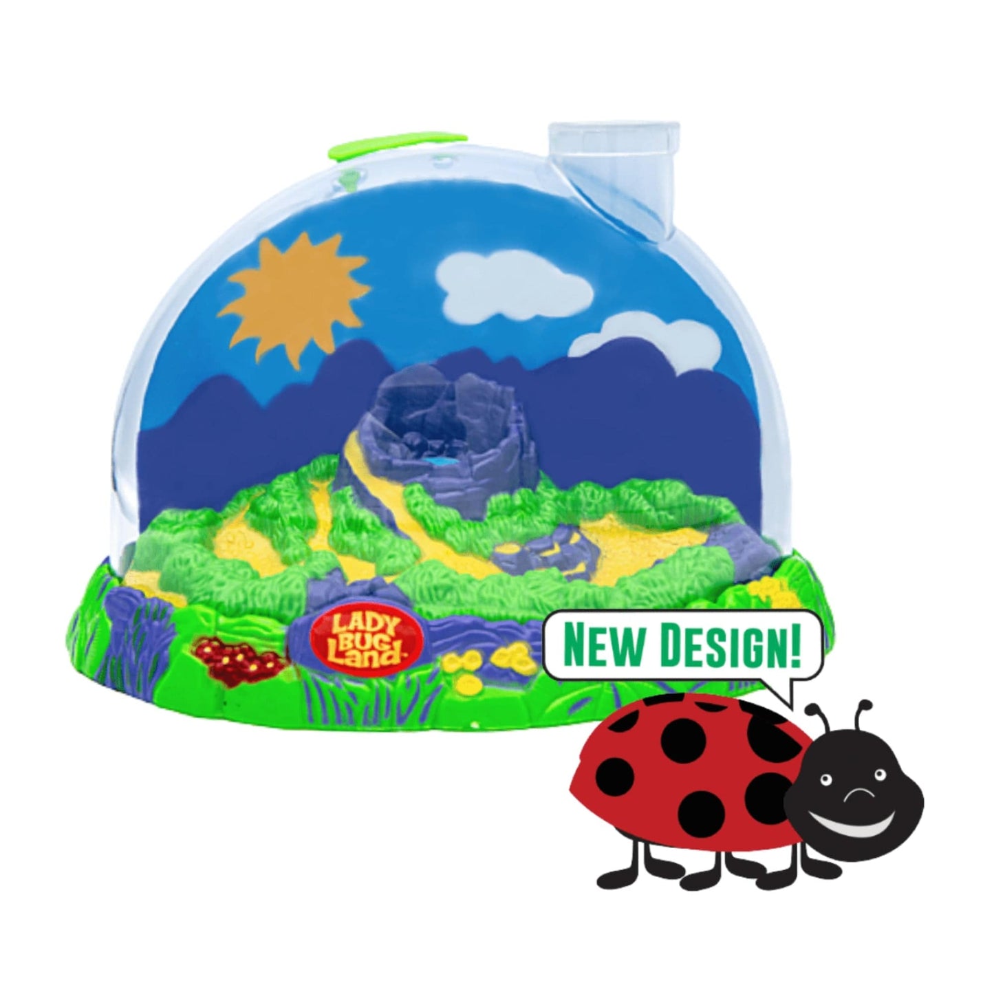 Ladybug Land with Voucher