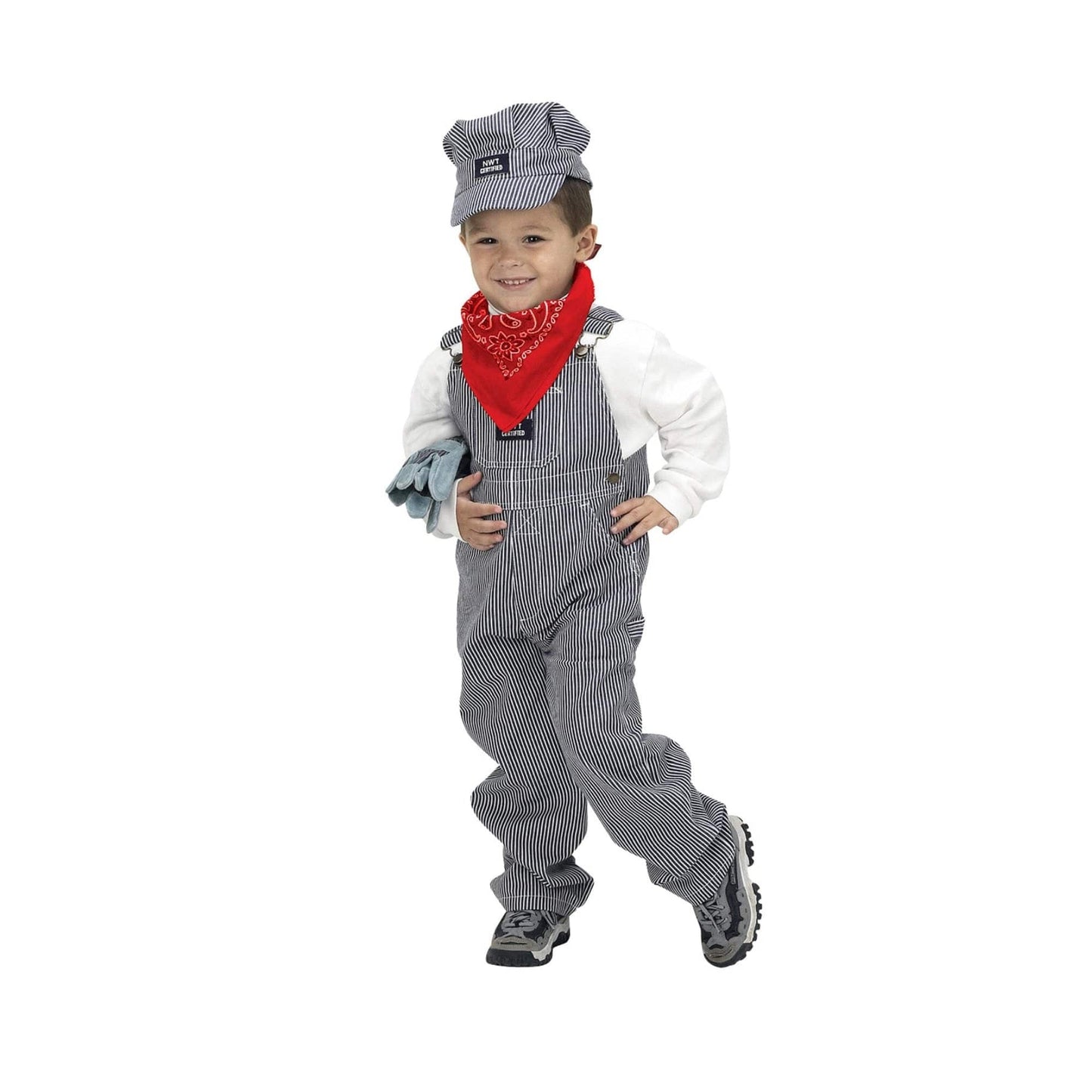 Train Engineer