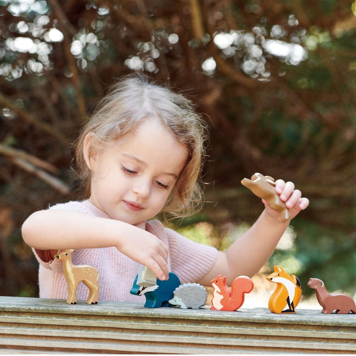 Woodland Animals