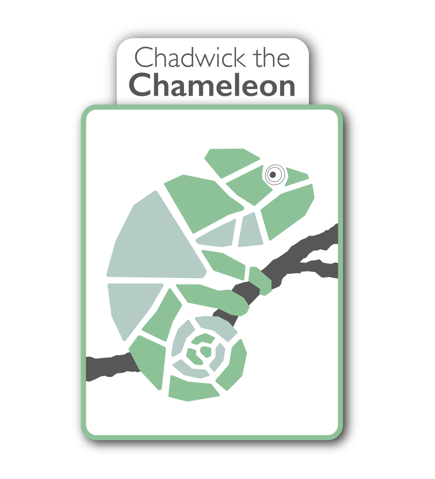 Chameleon Fabric Art Kit