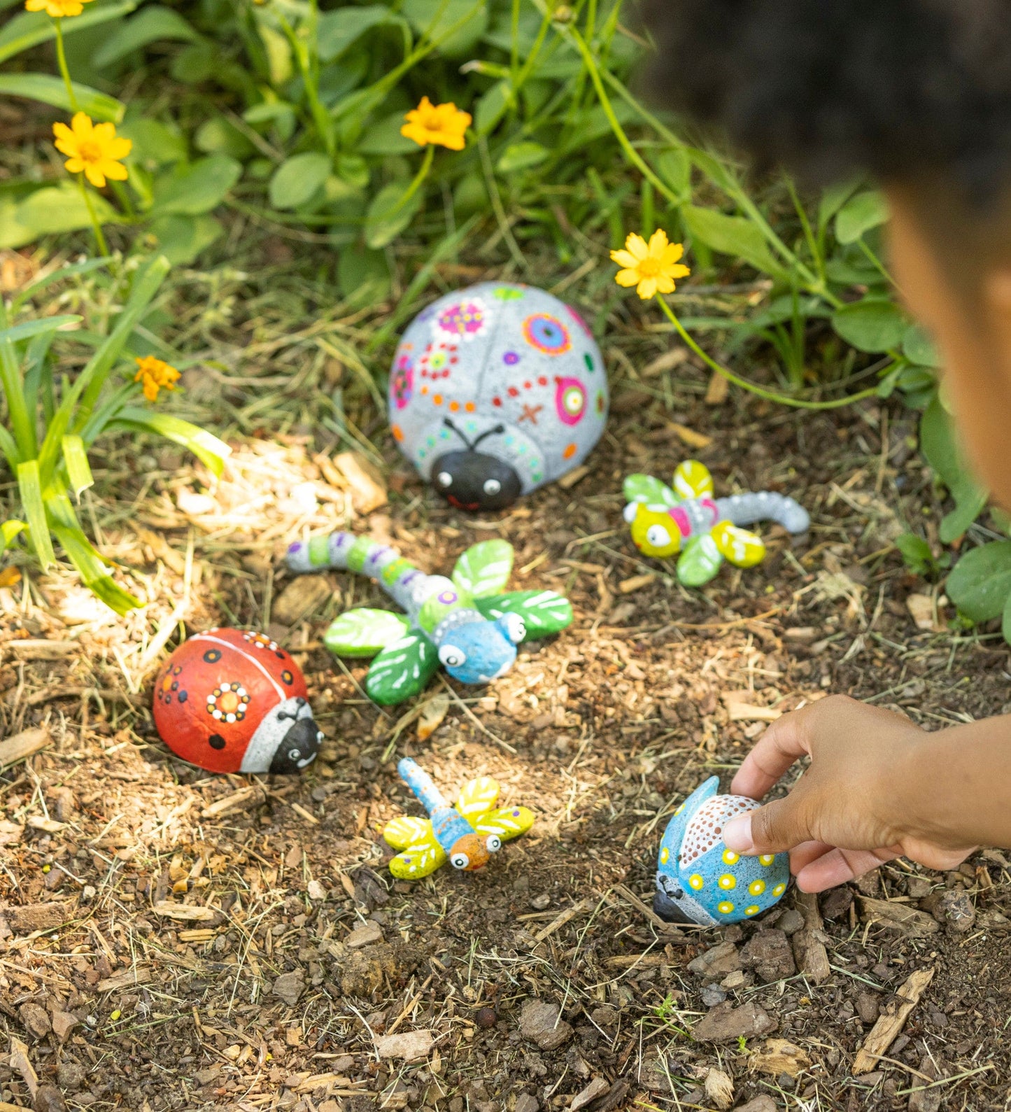 Color Pops Paint-Your-Own Rocks: Ladybugs and Dragonflies