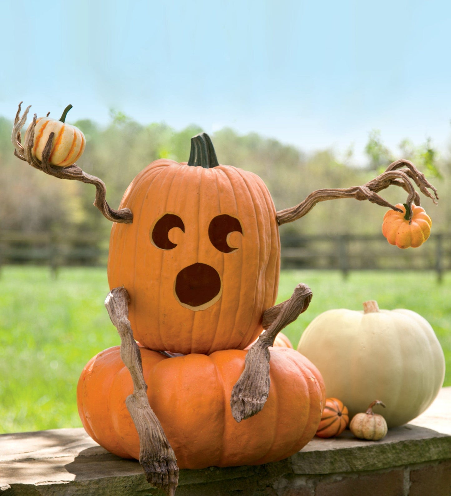 Decorative Foam Halloween Pumpkin Appendages