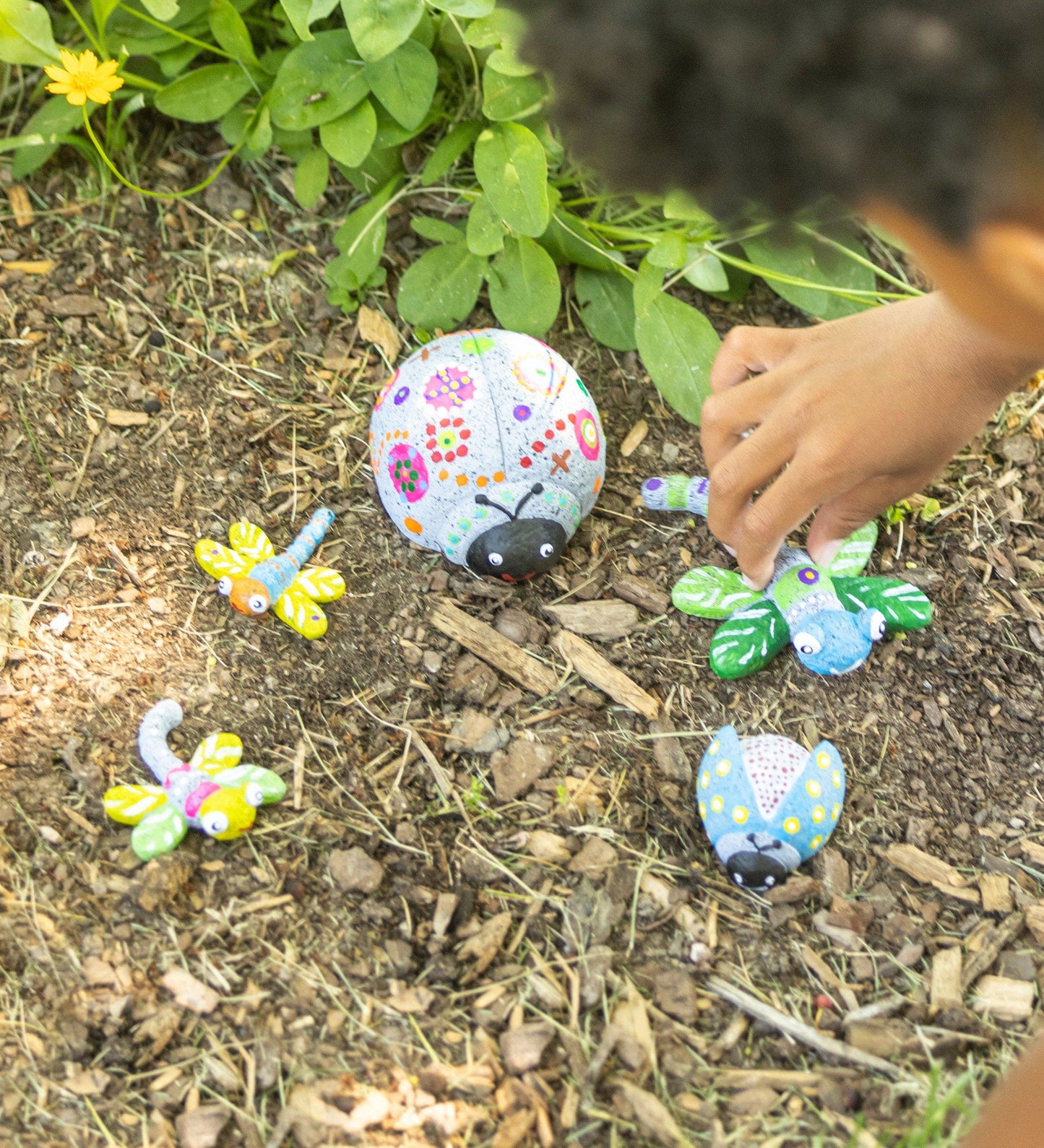 Color Pops Paint-Your-Own Rocks: Ladybugs and Dragonflies