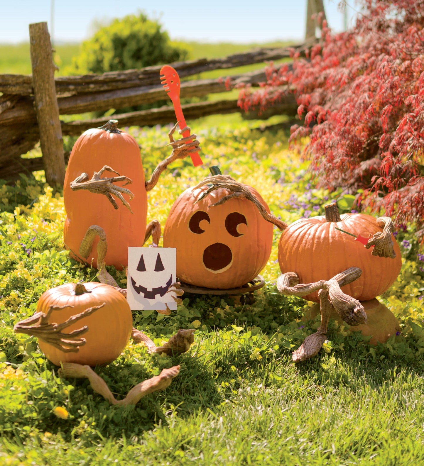 Decorative Foam Halloween Pumpkin Appendages