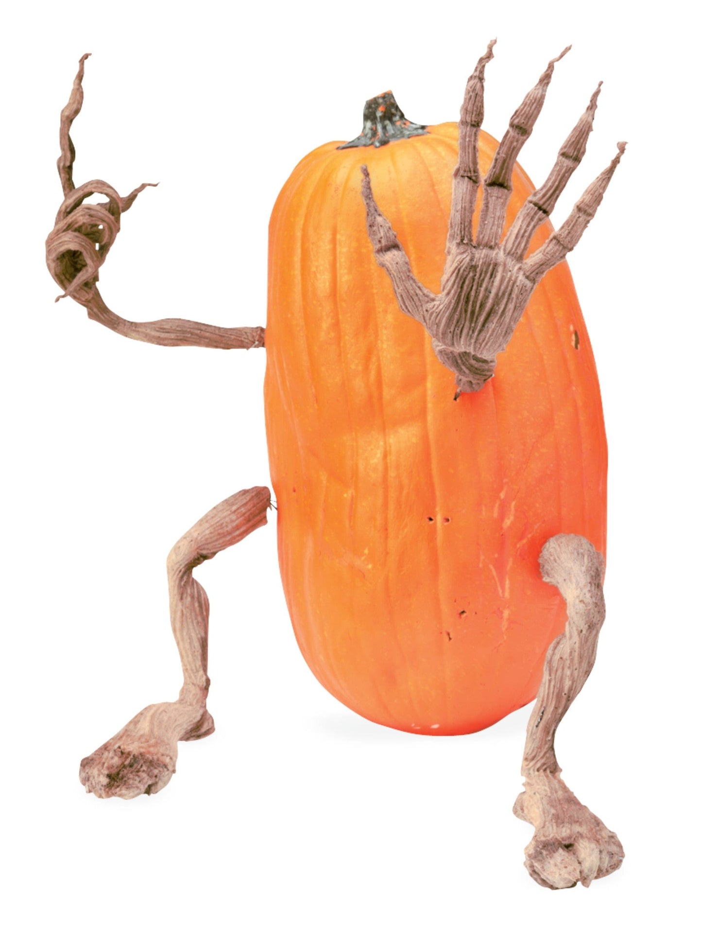 Decorative Foam Halloween Pumpkin Appendages