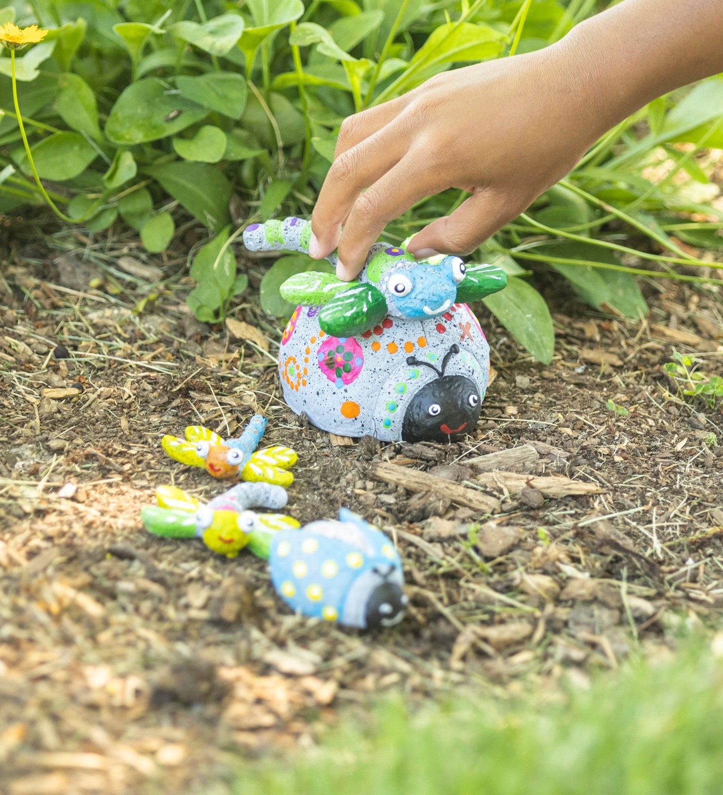 Color Pops Paint-Your-Own Rocks: Ladybugs and Dragonflies