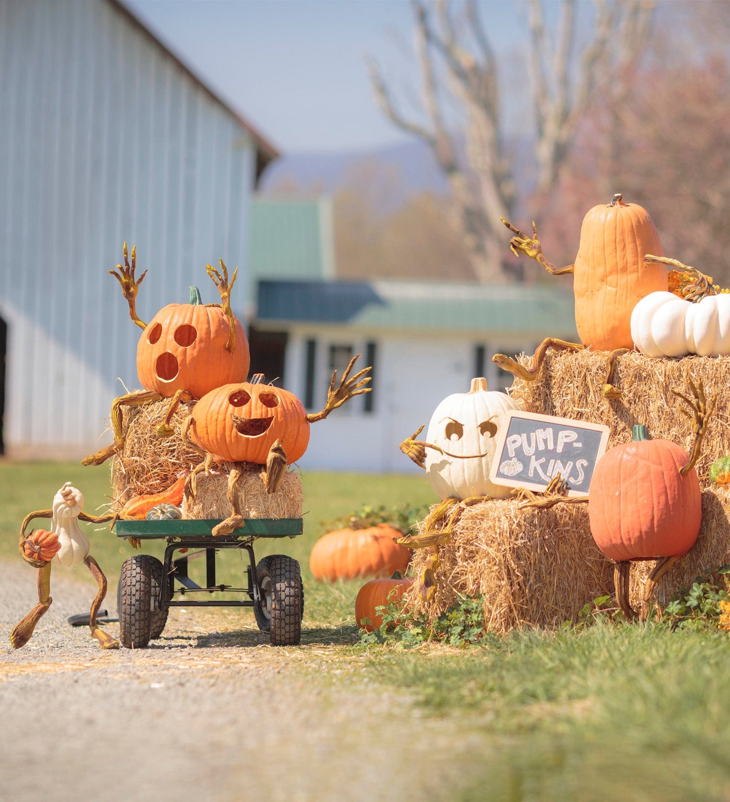 Decorative Foam Halloween Pumpkin Appendages