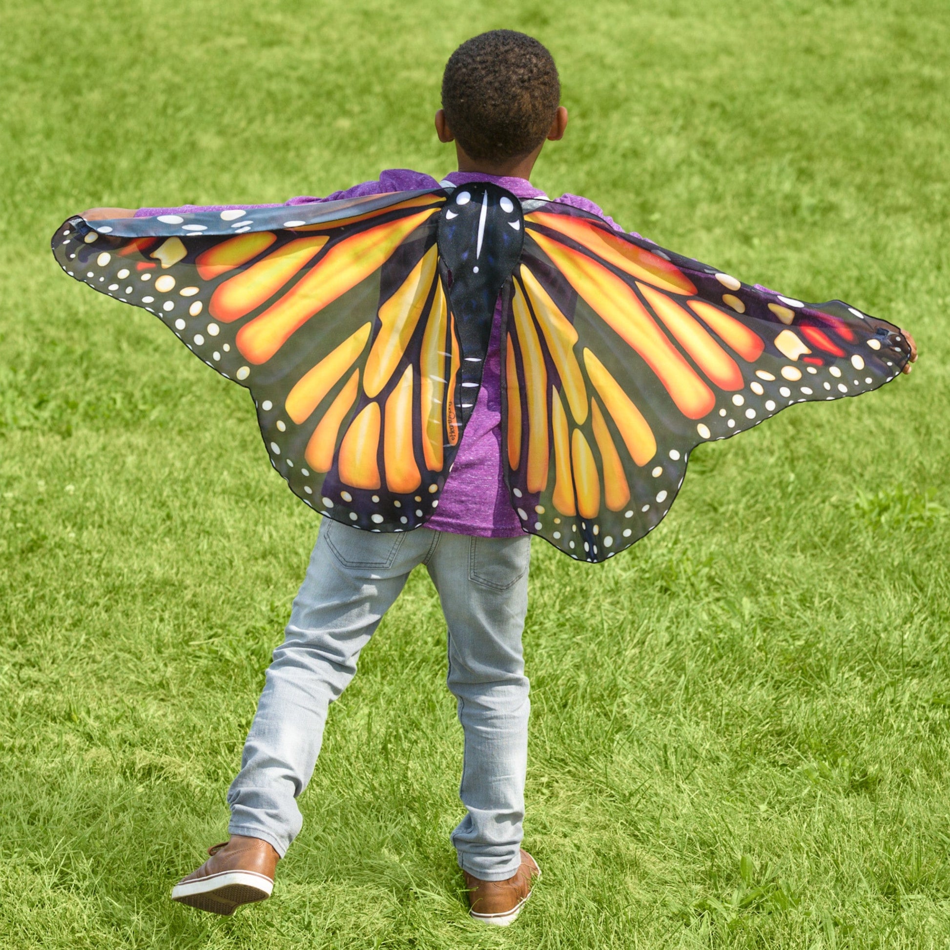 Animated Monarch Butterfly - With Moving Wings