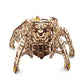 Hexapod Explorer Model Kit