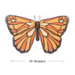 Colorful Butterfly Wings Costume