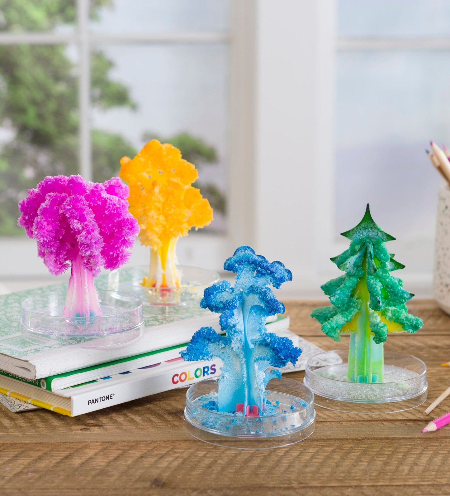 Grow Your Own Crystals Kit - Enchanted Forest, Set of Four