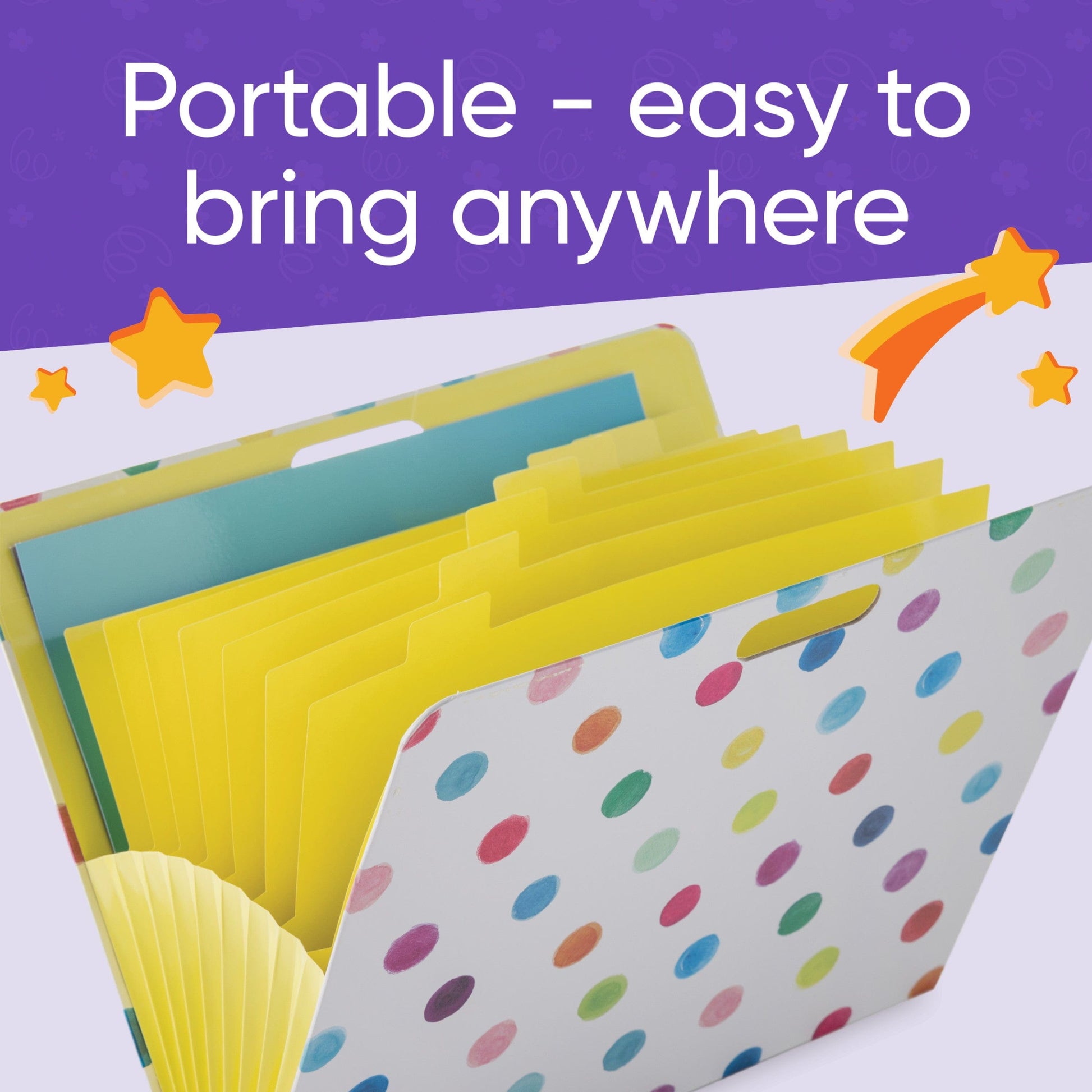 Expandable Art Storage Portfolio