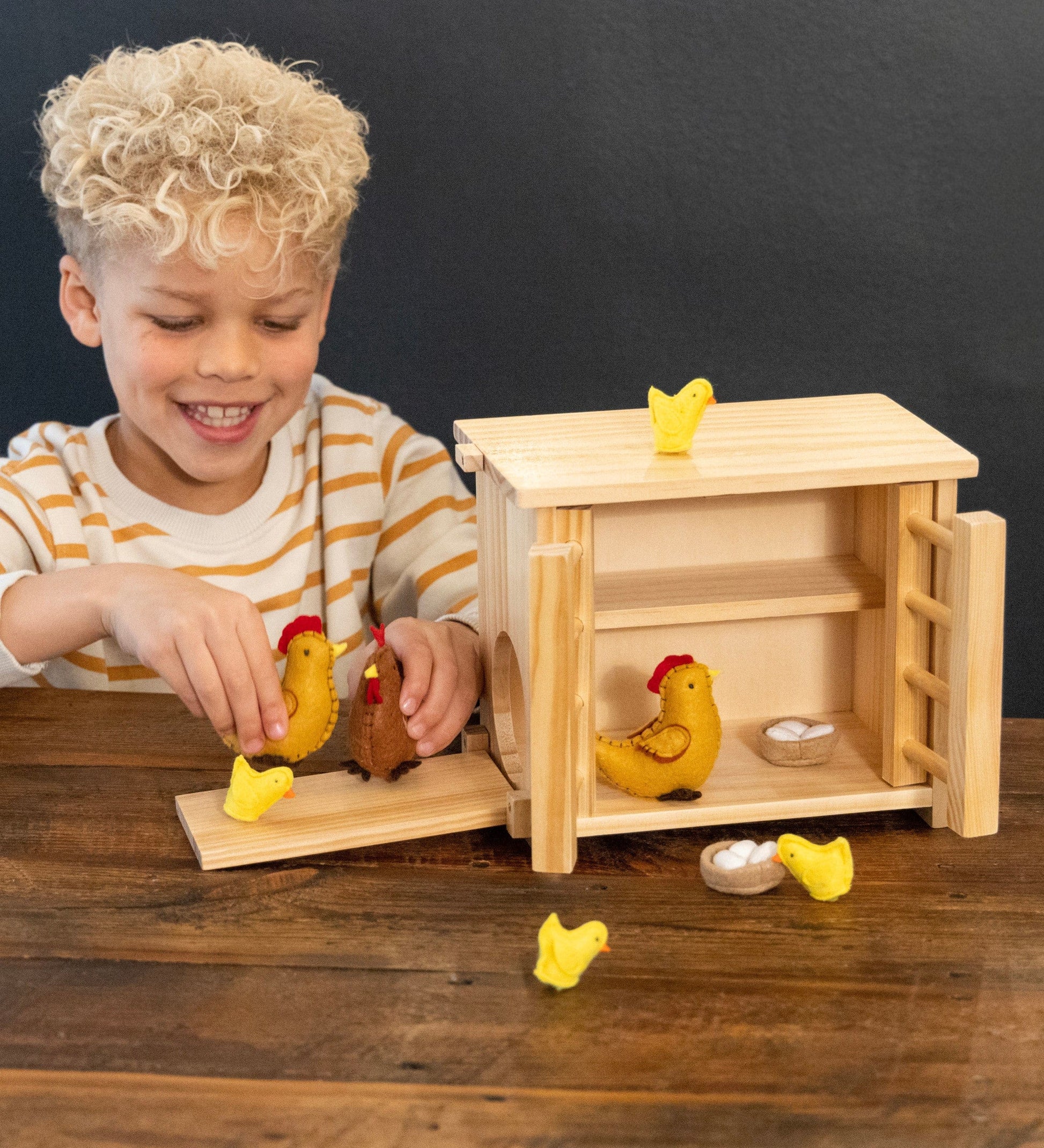 Wooden Chicken Coop and Felt Chickens Play Set