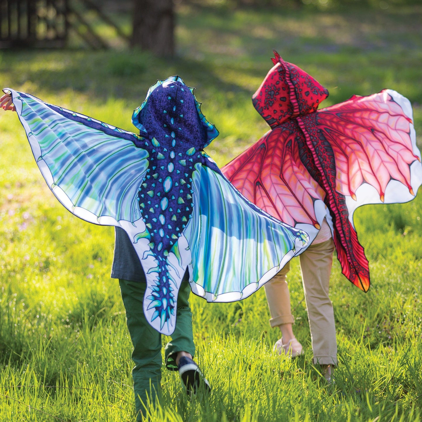 Fabric Dragon Wings Costume