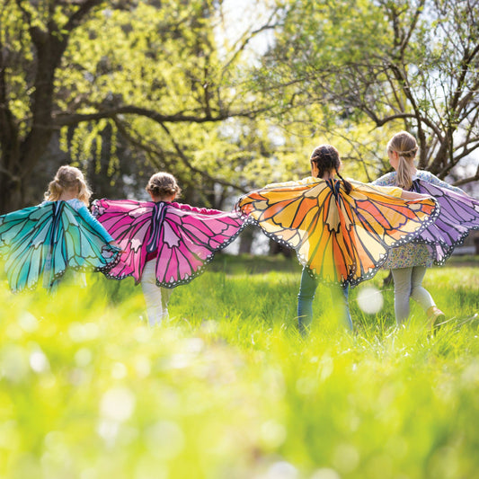 Colorful Butterfly Wings Costume