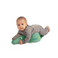 Crawligator, sage