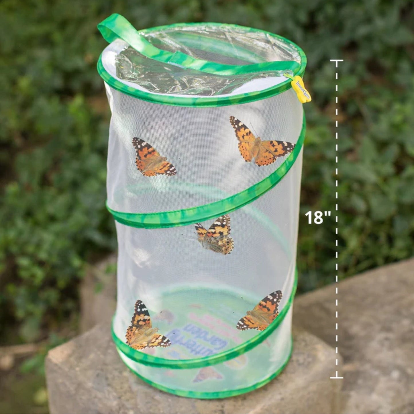 Giant Butterfly Garden® with Voucher