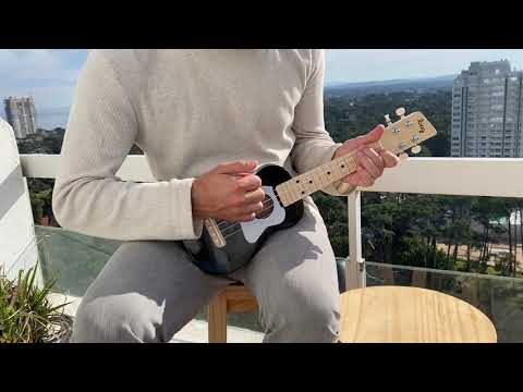 PLP-Video