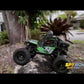 PLP-Video