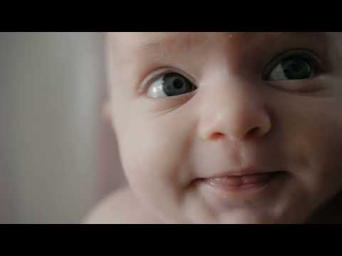 PLP-Video