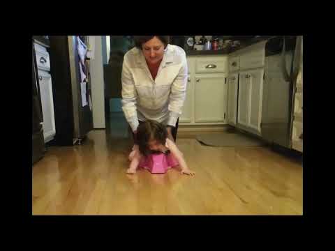 PLP-Video