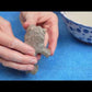 PLP-Video