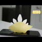 PLP-Video