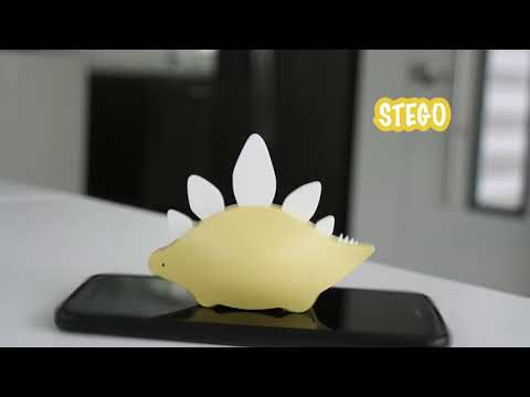 PLP-Video