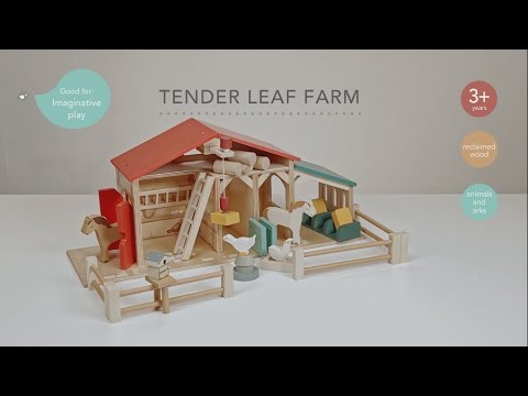 PLP-Video