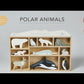 PLP-Video