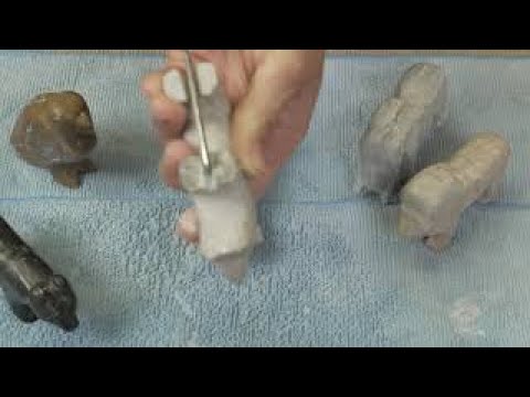 PLP-Video