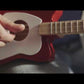 PLP-Video