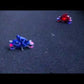 PLP-Video