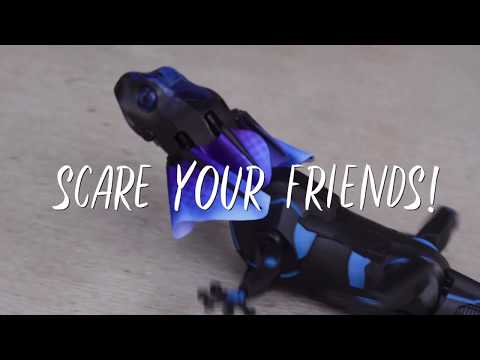 PLP_Video