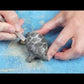PLP-Video
