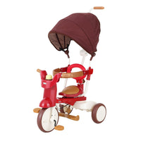 3-In-1 Foldable Tricycle With Canopy