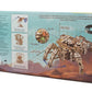 Hexapod Explorer Model Kit