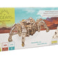 Hexapod Explorer Model Kit
